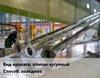 Оцинкование клапан чугунный  холодное